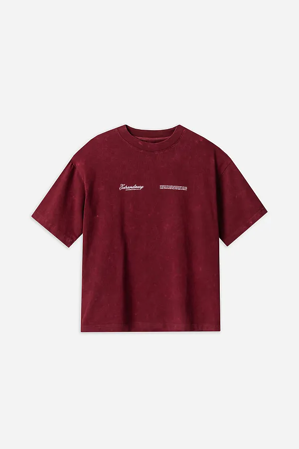 Футболка мужская MARK FORMELLE, acid wash портвейн +печать1 - фото 2