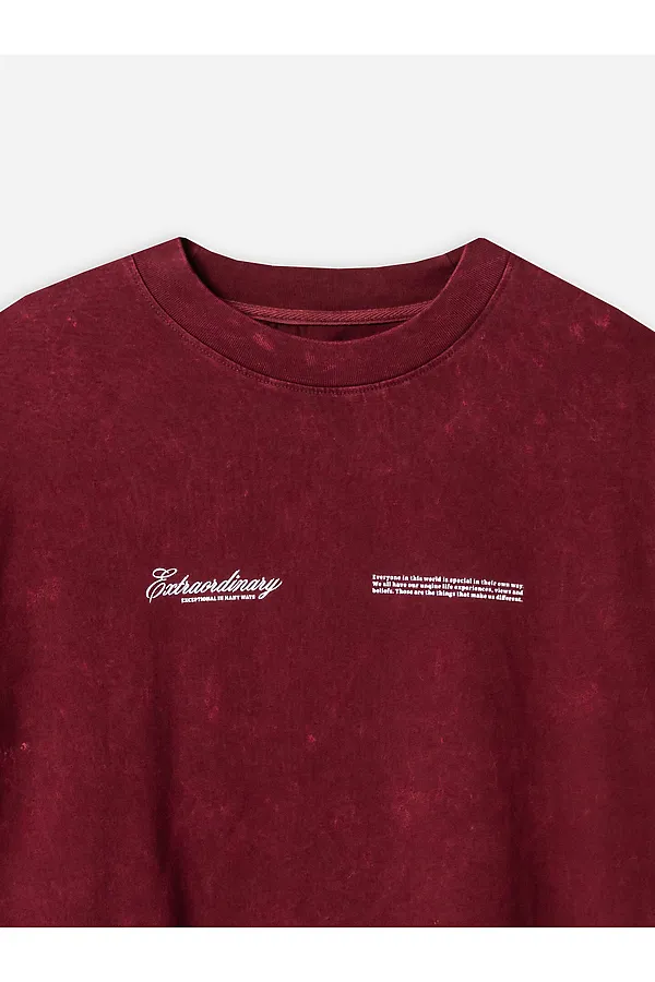 Футболка мужская MARK FORMELLE, acid wash портвейн +печать1 - фото 2