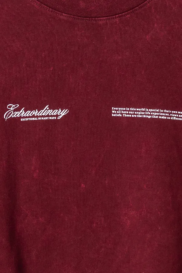 Футболка мужская MARK FORMELLE, acid wash портвейн +печать1 - фото 2