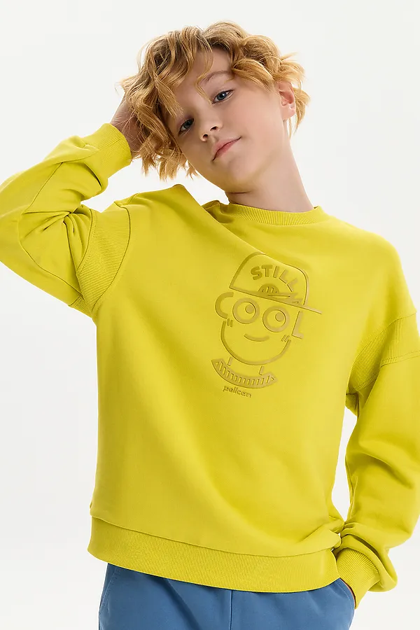 Толстовка для мальчиков PELICAN, желтый - фото 2