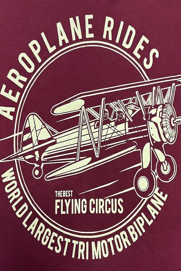 Футболка F5, темно-бордовый - фото 2