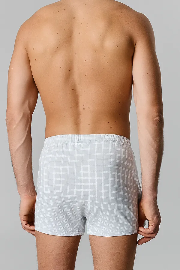 Трусы мужские MARK FORMELLE, белая клетка на лунный луч - фото 2