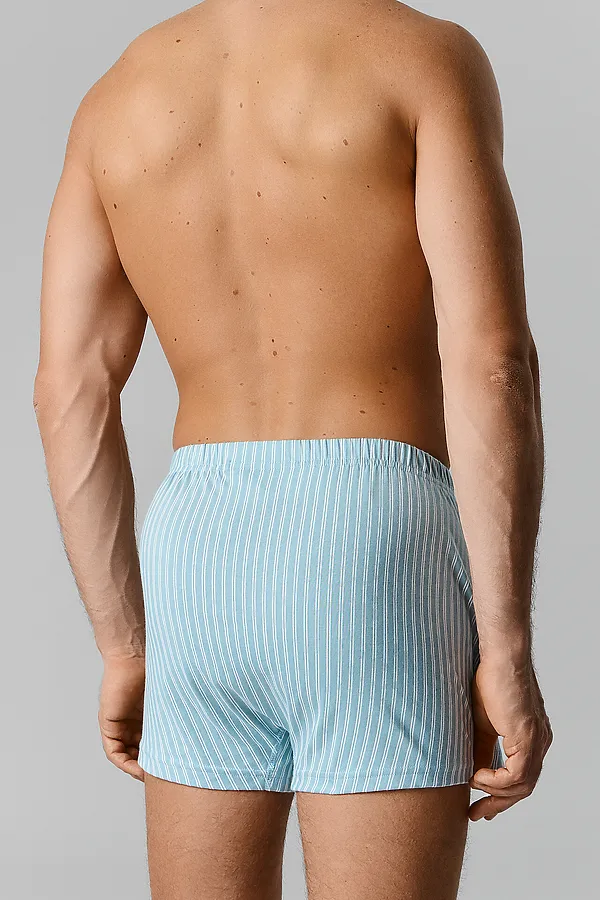 Трусы мужские MARK FORMELLE, белая полоска на полыни - фото 2