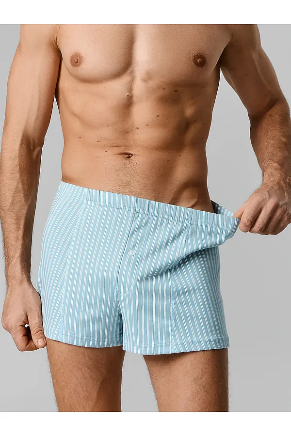 Трусы мужские MARK FORMELLE, белая полоска на полыни - фото 2