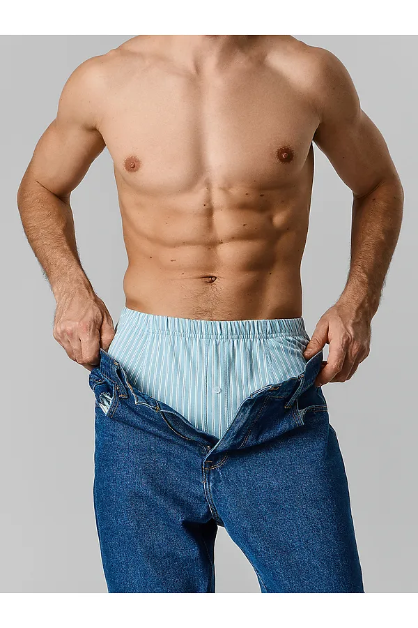 Трусы мужские MARK FORMELLE, белая полоска на полыни - фото 2