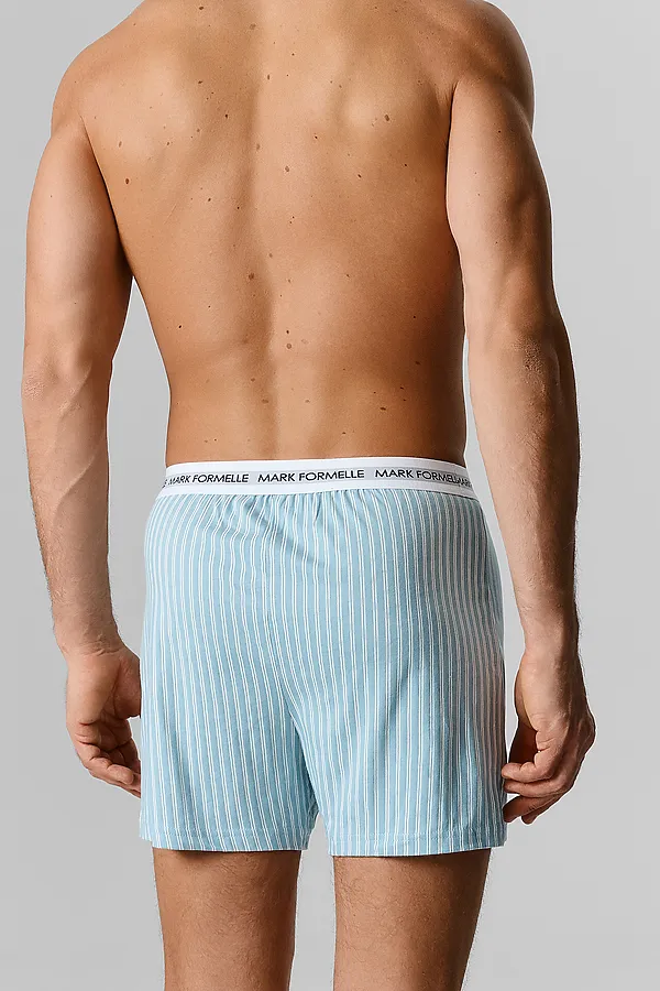 Трусы мужские (2шт) MARK FORMELLE, белая полоска на полыни +морская волна - фото 2