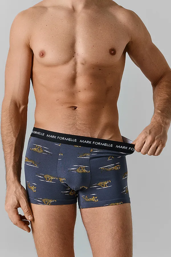Трусы мужские MARK FORMELLE, тигры на графите - фото 2