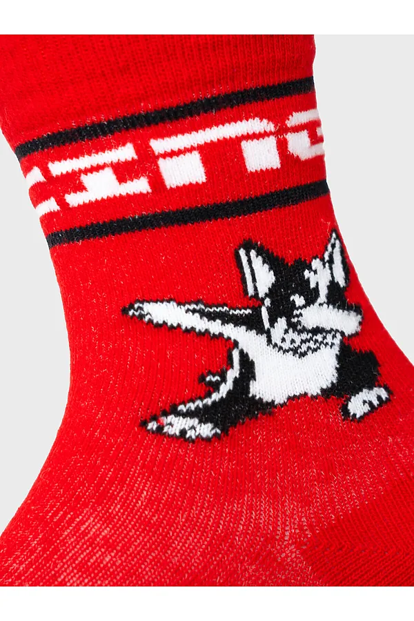 Носки трикотажные для мальчиков, 3 пары в комплекте PLAYTODAY, белый,черный,красный - фото 2