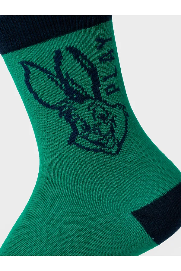 Носки трикотажные для мальчиков, 5 пар в комплекте PLAYTODAY, разноцветный - фото 2