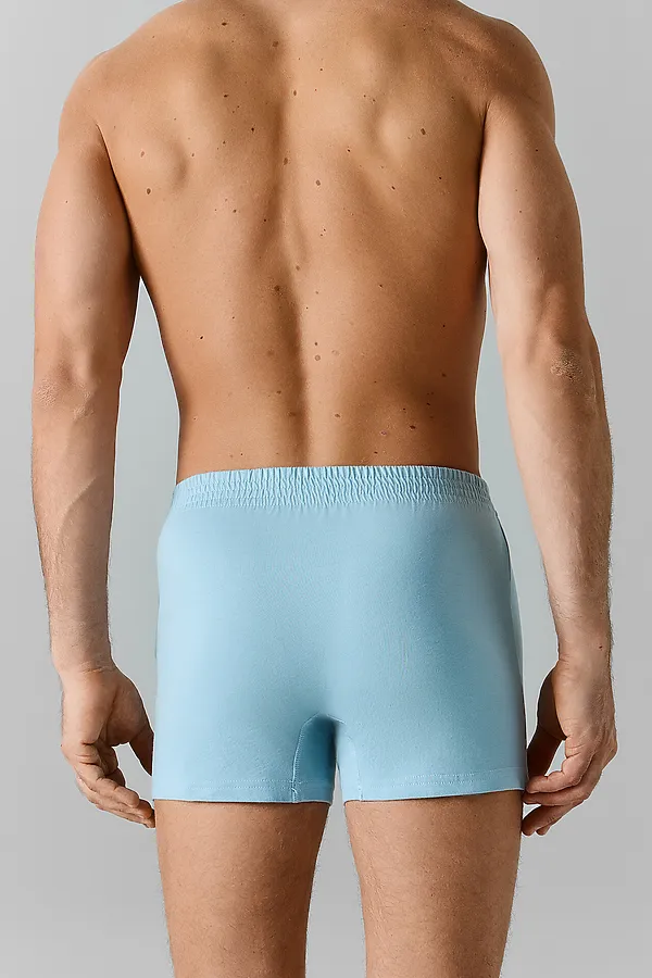 Трусы мужские (3шт) MARK FORMELLE, полынь +лунный луч +черный - фото 2