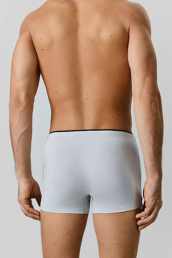 Трусы мужские (2шт) MARK FORMELLE, лунный луч +тигры на графите - фото 2