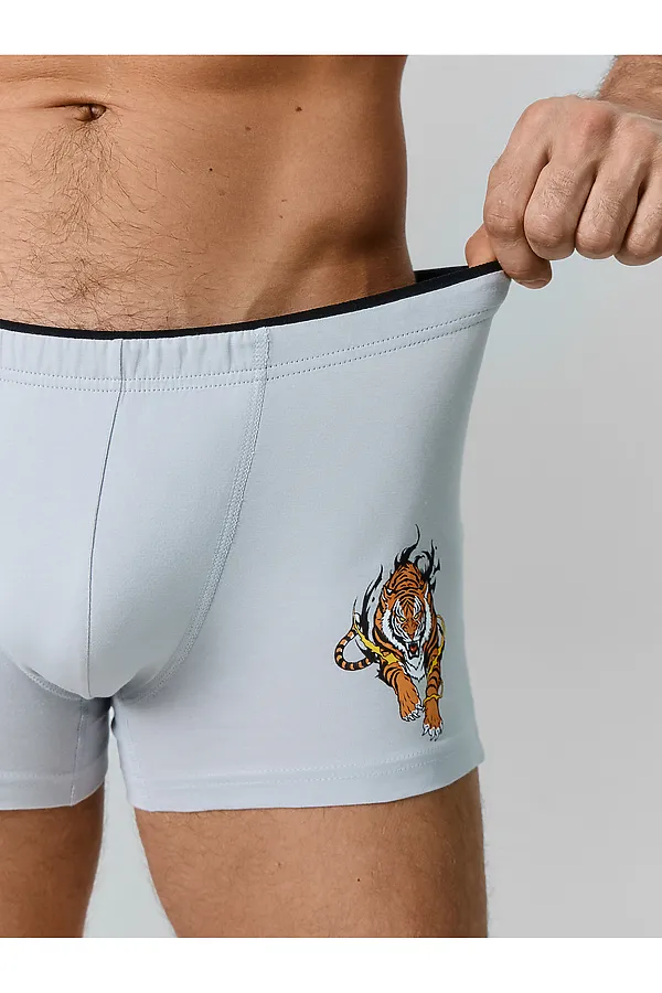 Трусы мужские (2шт) MARK FORMELLE, лунный луч +тигры на графите - фото 2