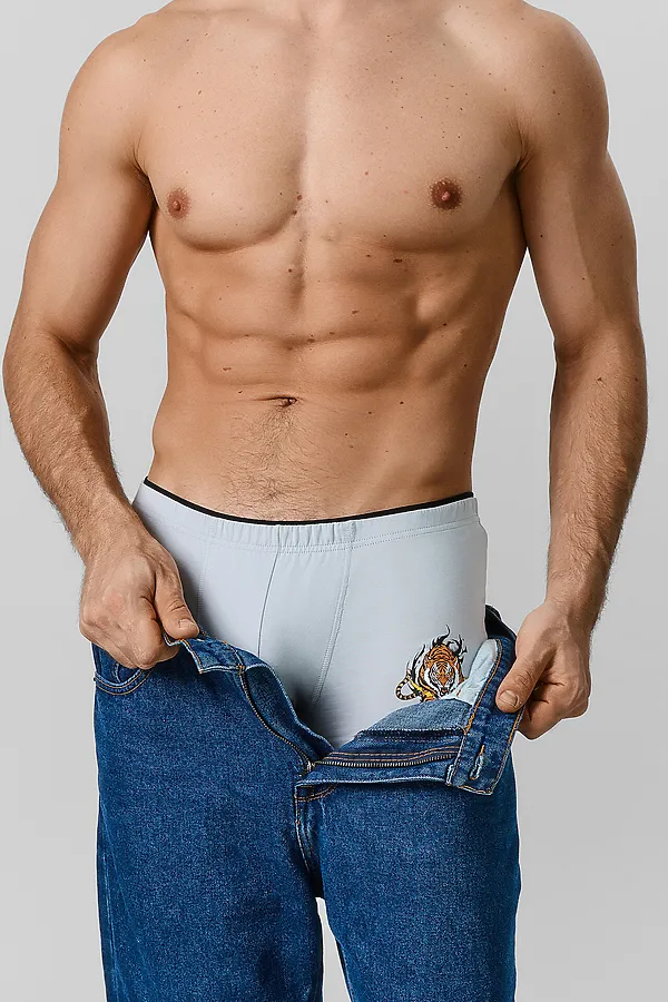 Трусы мужские (2шт) MARK FORMELLE, лунный луч +тигры на графите - фото 2