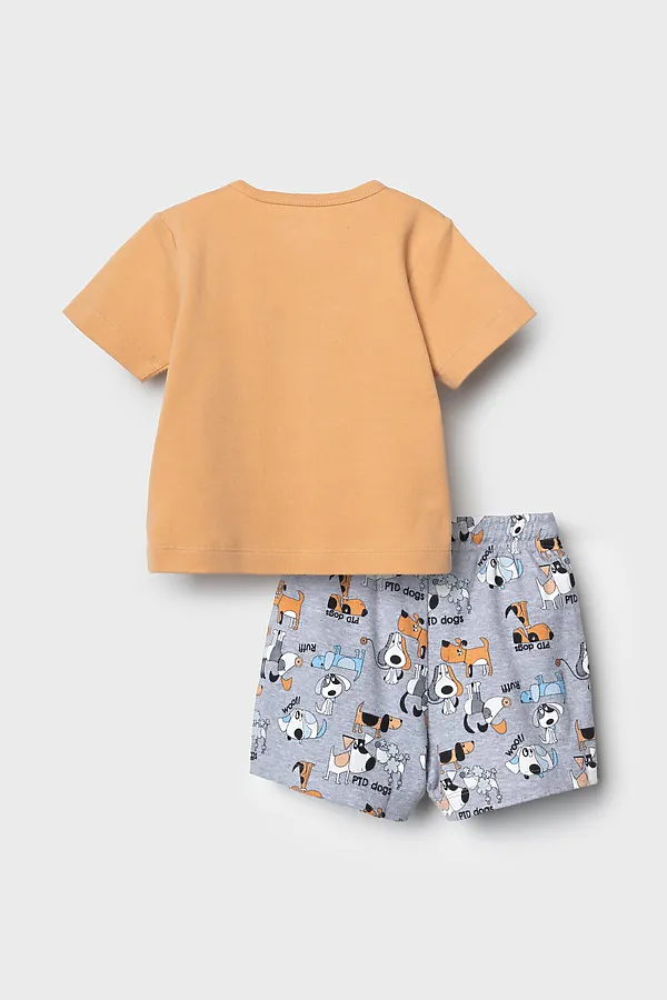 Комплект детский трикотажный для мальчиков: джемпер (футболка), шорты PLAYTODAY, разноцветный - фото 2