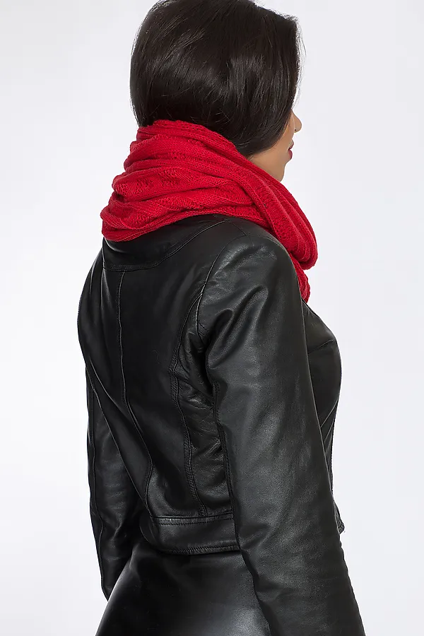 Воротник-хомут VAY, красный - фото 2