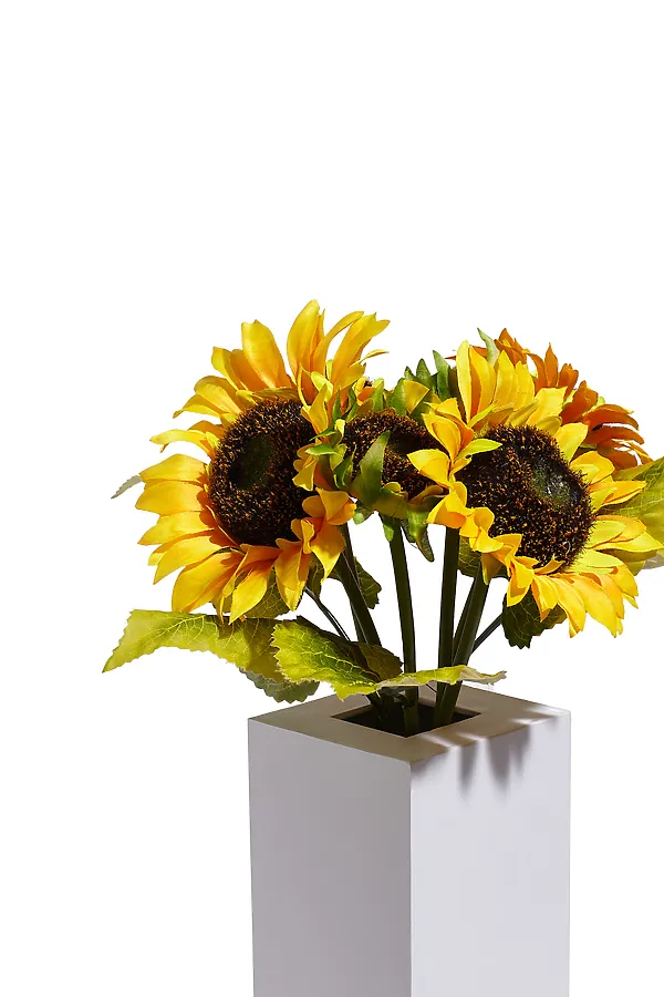 Букет подсолнухов "Подсолнухи для Лусии" Nothing Shop, оранжевый, зеленый, темно-коричневый - фото 2