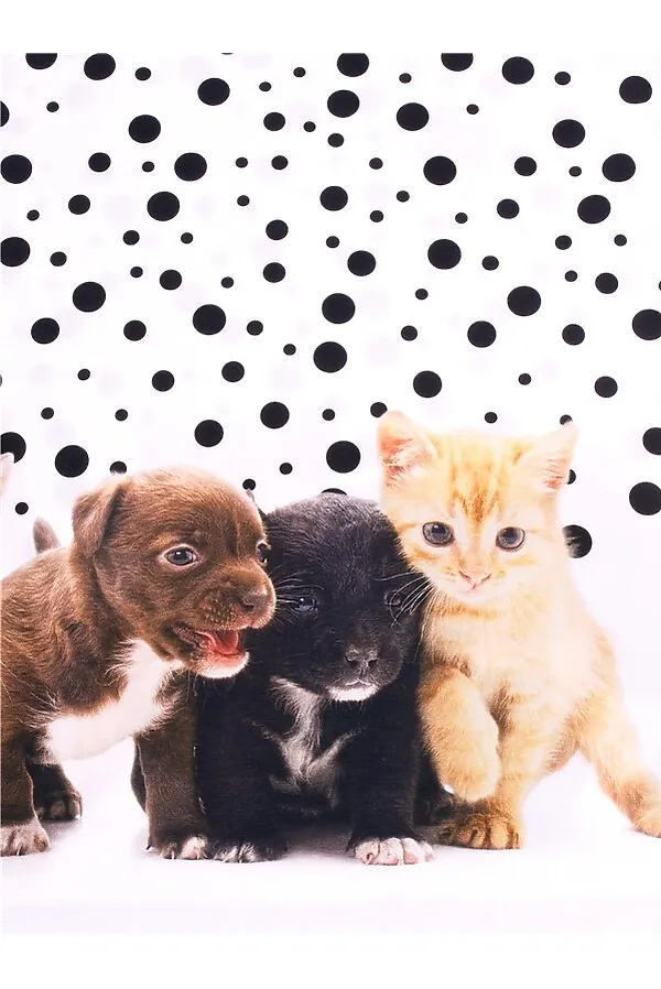 Сарафан АПРЕЛЬ, котята и щенята - фото 2
