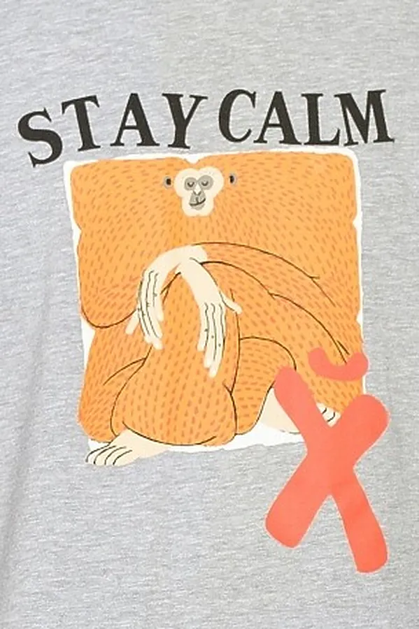 Комплект (Футболка+Брюки) PELICAN, серый - фото 2