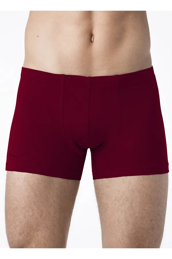 Трусы БРЕСТСКИЕ, бордо - фото 2