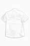 Рубашка PELICAN (Белый) BWCT7070 #138613
