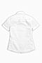 Рубашка PELICAN (Белый) BWCT8074 #138629