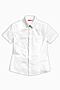 Рубашка PELICAN (Белый) BWCT8080 #138633