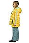 Комплект (Куртка+Полукомбинезон) PELICAN (Желтый) GZKW3137 #146309