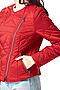 Куртка DIMMA (Темно-красный) 2062 #173140