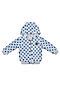 Куртка LUCKY CHILD (Голубой) 25-3/голубой #176742