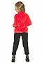 Костюм (Куртка и брюки) PELICAN (Красный) GFAXP3196 #233108