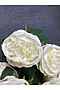 Букет роз "Цветущий сад" MERSADA (Белый, темно-зеленый,) 300837 #300945