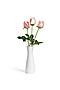 Букет 3 розы "Элина" MERSADA (Зеленый, бледно розоватый,) 296881 #308070