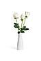 Букет 3 розы "Элина" MERSADA (Зеленый, белый,) 296876 #308071
