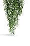 Композиция из 3 ветвей лианы "Весенний вальс" MERSADA (Зеленый, белый) 297142 #655915