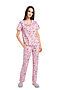 Пижама CLEVER (Розовый/белый) LP12-974/4у #803618
