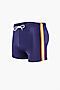 Пляжные шорты INDEFINI (Фиолетовый) 782100-3042YMD #884358
