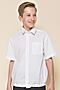 Рубашка  PELICAN (Белый) BWCT8121 #890202