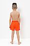 Плавательные шорты CROCKID (Оранжевый) #897653