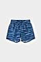 Плавательные шорты CROCKID (Голубой,зебра) #897656