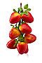 Связка плодов клубники "Бонди" Nothing Shop (Красный, зеленый, коричневый,) 305350 #902677