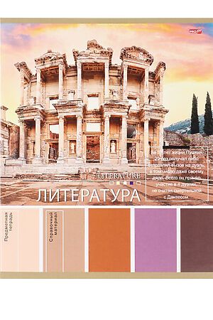 TM Profit Тетрадь ЛИНИЯ 36л. ЛИТЕРАТУРА «PANTONE» (36-9322) эконом, б/о НАТАЛИ, в ассортименте 49417 #1022718 купить с доставкой в интернет-магазине OptMoyo.ru