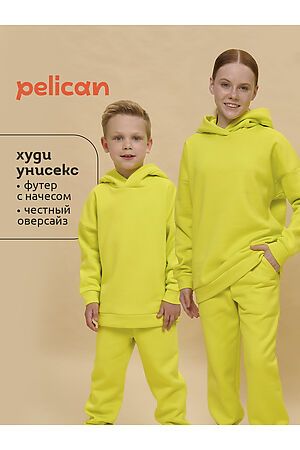 Худи PELICAN #1067208