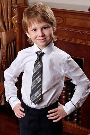 Галстук 10 шт. ALOLIKA #222244
