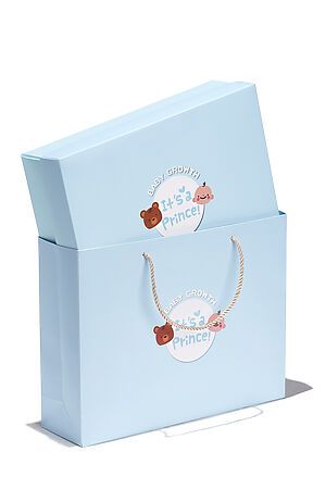 Подарочная коробка в пакете Nothing Shop (Белый, светло-голубой) 211840 #230224