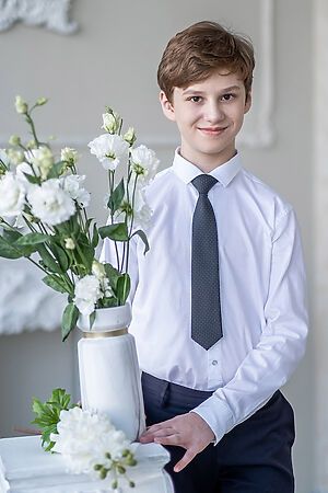 Галстук 5 шт. ALOLIKA #232281