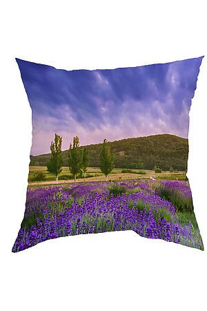 Наволочка декоративная ART HOME TEXTILE, мульти НВТР011-11084-СД #251357 купить с доставкой в интернет-магазине OptMoyo.ru