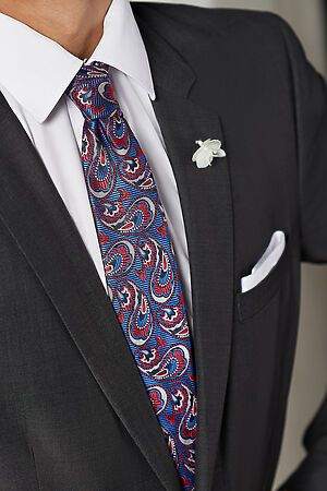 Галстук классический галстук мужской фактурный с принтом пейсли в деловом стиле "Власть денег" SIGNATURE #783968