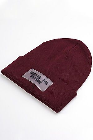 Шапка CLEVER #852129
