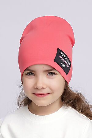 Шапка CLEVER #883910