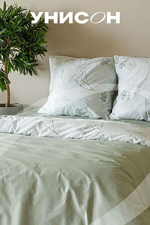 КПБ 24480-1/24500-83 Botanica НАТАЛИ (В ассортименте) 44936 #953867
